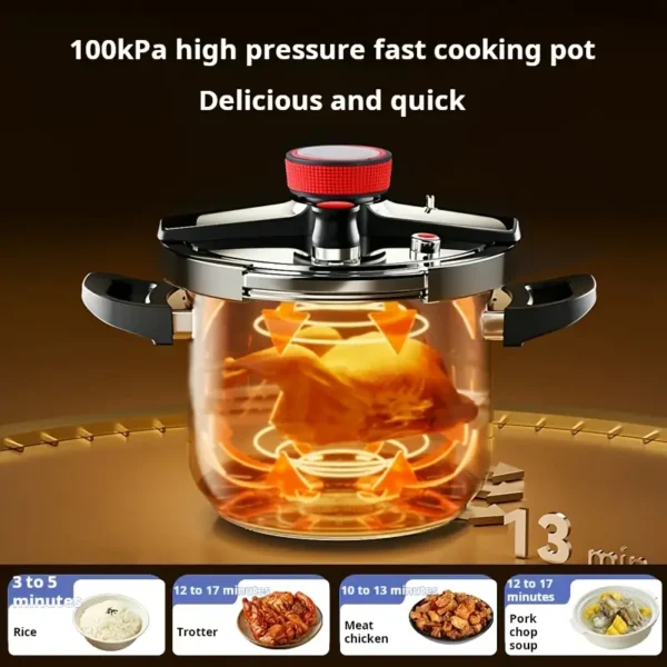 Stainless Steel Pressure Cooker